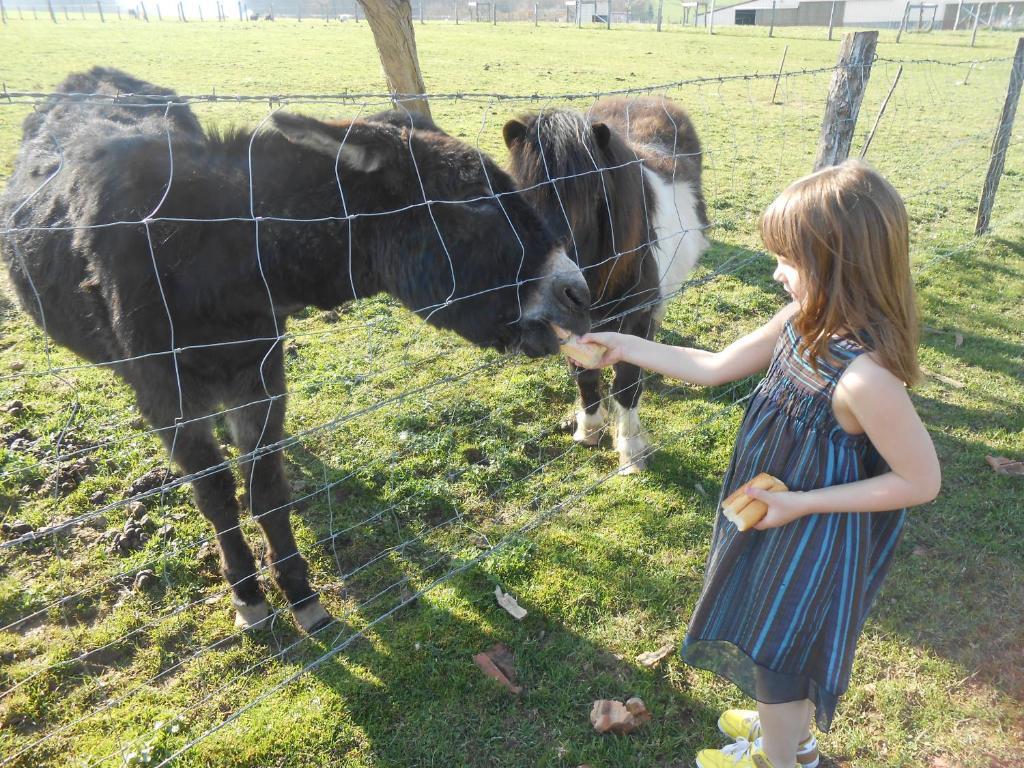 생폴 La Ferme Des 3 Suissesses B&B 외부 사진